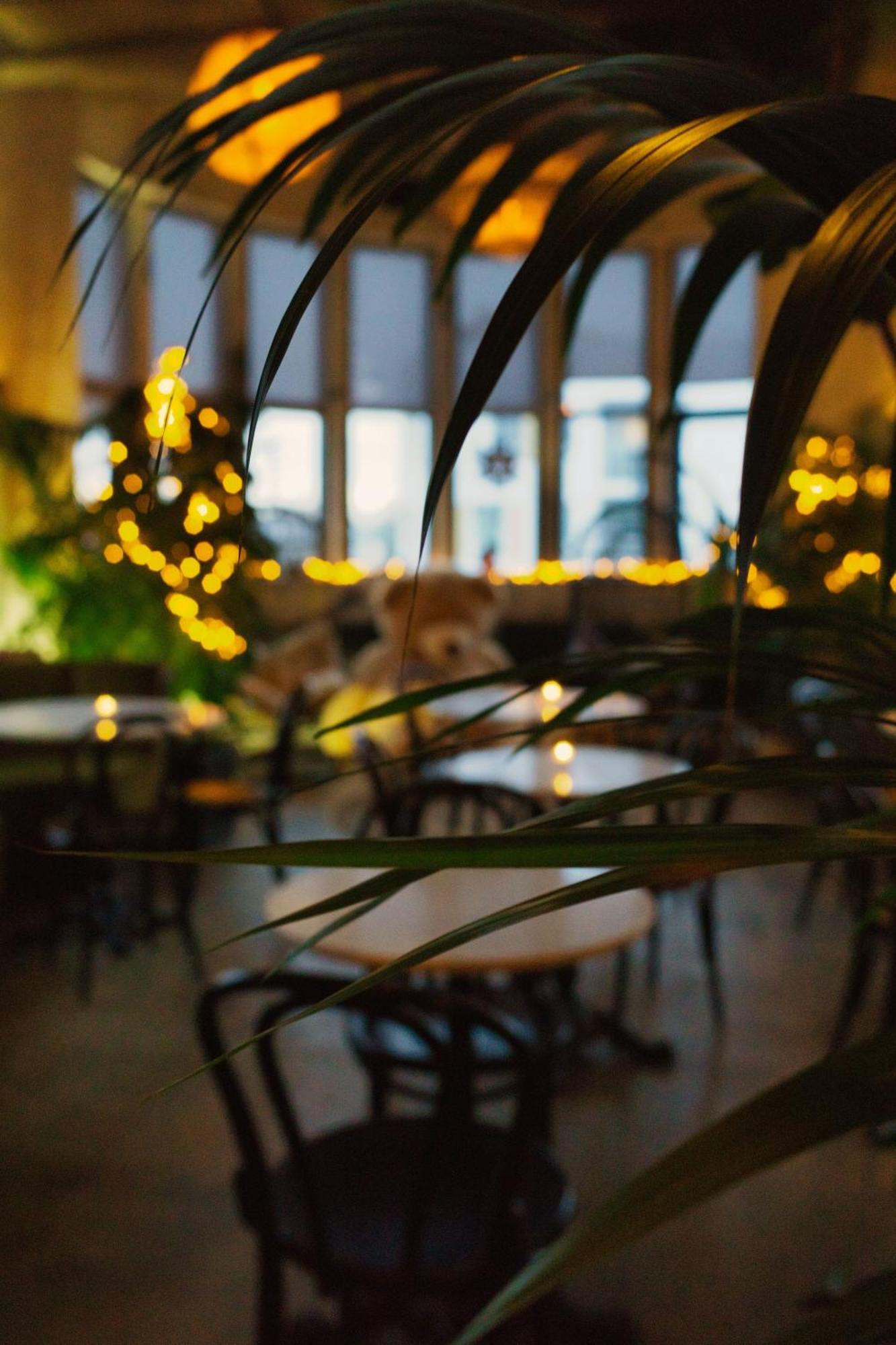 Hostal Nordic